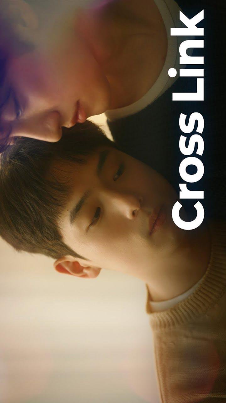 Cross Link (2026 Korean Drama)